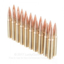 Munizioni carabina cal. 8x57JS 196grs FMJ BT Match Line 20 pz (PPU)