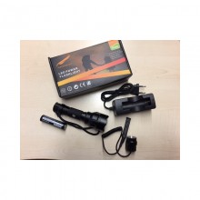 Torcia SC8XPE 250 Lumen + batteria 2450mah + carica batt. + remoto (Hunteye)